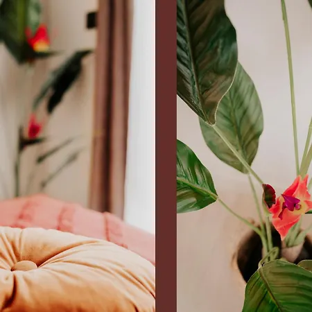 Apartmán Hypercentre Jean Jaures, Parking Prive, Ascenseurs Toulouse