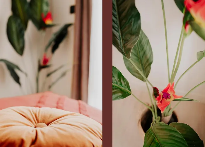 公寓 Hypercentre Jean Jaures, Parking Prive, Ascenseurs 圖盧茲